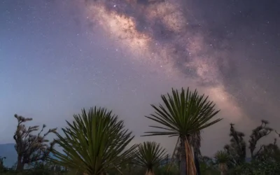 VIAJE FOTOGRÁFICO: RESERVA DE TEHUACÁN