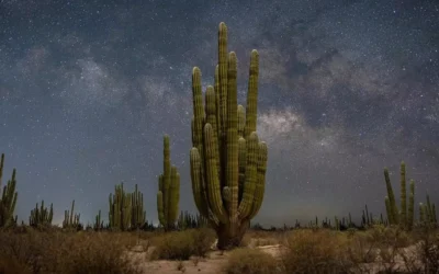 VIAJE FOTOGRÁFICO: PINACATE Y ESTRELLAS